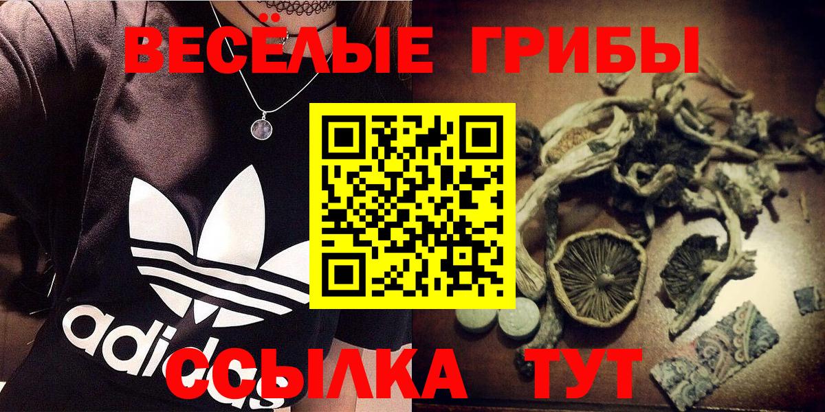 Ишимбай  Галлюциногенные грибы мицелий  Вход с VPN  Псилоцибиновые грибы Cubensis 